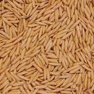 Arroz Agulha com Casca 1kg