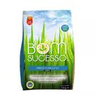 Arroz Carolino Bom Sucesso 1kg