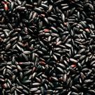 Arroz Negro Integral - 500g