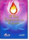 Arte Conduzindo ao Sagrado, A - Vol.4 - Coleção Estudos em Arte Terapia