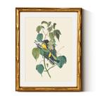 Arte de parede em Simsea Gold Bamboo Frame Vintage Bird 28x36cm