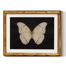 Arte de parede em Simsea Retro White Butterfly, moldura 28x36cm