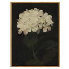 Arte de parede em Simsea White Hydrangea Pintura a óleo 30x41 cm Arte de parede em Simsea White Hydrangea Pintura a óleo 30x41 cm