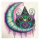 Artesanato Pintura Diamante Diy 30X30 - CORUJA LUA