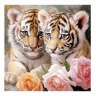 Artesanato Pintura Diamante Diy 30x30 - TIGRES TM-DW1119 Artesanato Pintura Diamante Diy 30x30 - TIGRES TM-DW1119