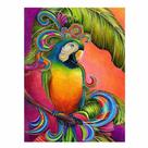 Artesanato Pintura Diamante Diy 30X40 - ARARA BONITA