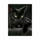 Artesanato Pintura Diamante Diy 30X40 - BLACK SIRIUS
