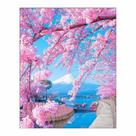 Artesanato Pintura Diamante Diy 30X40 - sakura CY-FJ10428