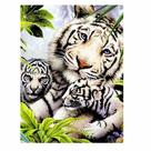 Artesanato Pintura Diamante Diy 30X40 - TIGRES BRANCOS Artesanato Pintura Diamante Diy 30X40 - TIGRES BRANCOS