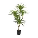 Árvore Artificial Dracena Toque Real Formosinha Árvore Artificial Dracena Toque Real Formosinha