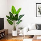 Árvore artificial ilitphke Bird of Paradise de 4 pés com folhas e troncos