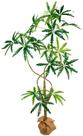 Arvore Artificial Planta Grande Arália Elegante 1.6m Realista Arvore Artificial Planta Grande Arália Elegante 1.6m Realista