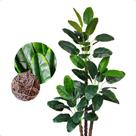 Árvore Bananeira Ornamental Planta Artificial Sem Vaso Decoração Árvore Bananeira Ornamental Planta Artificial Sem Vaso Decoração