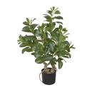 Arvore Clusia Com Pote Real Toque Verde 78cm Arvore Clusia Com Pote Real Toque Verde 78cm
