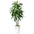 Árvore de Dracaena artificial FSOHOI com plantador alto branco de 6 pés