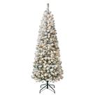 Árvore de Natal Artificial National Tree Company First Traditions Acacia - 6 Pés Árvore de Natal Artificial National Tree Company First Traditions Acacia - 6 Pés