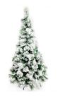 Árvore De Natal Luxo Pinheiro Com Neve Nevada Cactos 1,8m Árvore De Natal Luxo Pinheiro Com Neve Nevada Cactos 1,8m