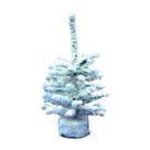 Árvore de Natal Vickerman Flocked Pine de 9 polegadas com base de madeira, pacote com 6 Árvore de Natal Vickerman Flocked Pine de 9 polegadas com base de madeira, pacote com 6