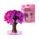 Árvore De Papel Sakura DIY: Brinquedo Científico De Crescimento De Cristais Em Miniatura, Presente Árvore De Papel Sakura DIY: Brinquedo Científico De Crescimento De Cristais Em Miniatura, Presente