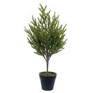 Árvore de Pinheiro Norfolk em Vaso Vickerman 60 cm Verde