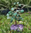 Árvore de Quartzo Verde com Base de Ametista 10 cm Árvore de Quartzo Verde com Base de Ametista 10 cm