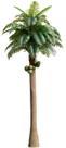 Árvore Folhas de Palmeira Tropical Grande Para Decoração Realista