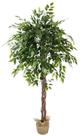 Arvore Grande Folhagem Real Planta Ficus 165cm Decoração