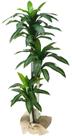 Arvore Planta Dracena 3 Galhos grandes 184 cm artificial