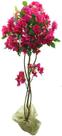 Arvore Planta Flores de Bougainville Rosa Com Pote 1.4m