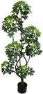 Arvore Premium Planta Schefflera Premium No Pote 155cm