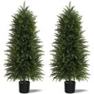 Árvores de Cedro Artificiais Mavis's Diary 152 cm Conjunto com 2 Árvores de Cedro Artificiais Mavis's Diary 152 cm Conjunto com 2