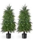 Árvores de topiaria de cedro artificial YEMMEN, 4 pés ao ar livre, pacote com 2
