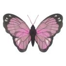 Asa de Borboleta Colorida Luxo Estampada