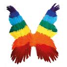 Asa de Fada Colorida arco-íris para Fantasia tamanho Adulto com elástico e pena artificial 1un