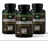Ashwa Gandha em Cápsulas 500mg O Verdadeiro Ginseng indiano Kit 3 potes Ashwa Gandha em Cápsulas 500mg O Verdadeiro Ginseng indiano Kit 3 potes