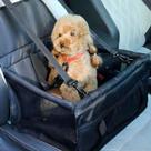 Assento Cadeirinha Transporte Protetor Pet Carro Viagem Cães Gatos Cor:Preto Assento Cadeirinha Transporte Protetor Pet Carro Viagem Cães Gatos Cor:Preto