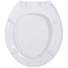 Assento sanitario celite