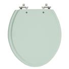 Assento Sanitário Convencional Oval Verde Claro Universal Tampa Vaso Deca-Incepa-Celite-Ideal-Roca
