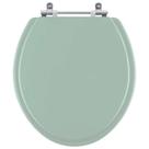 Assento Sanitário Flamingo Verde Agua para vaso Incepa