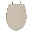 Assento Sanitário Poliéster Para Louça Absolute (Ideal Standard) Aço (Reb. Oculto) Bone