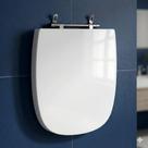 Assento Sanitário Poliéster Para Louça Flex (Deca) Aço Sedile