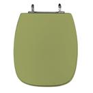 Assento Sanitário Poliéster Para Louça Stylus (Celite) Aço (Reb. Oculto) Verde Itapoã Assento Sanitário Poliéster Para Louça Stylus (Celite) Aço (Reb. Oculto) Verde Itapoã