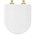 Assento Sanitário Soft Close Meridian Branco para vaso Roca com Ferragem Dourada