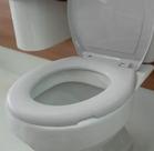 Assento Sanitario Viqua Oval Simples Cinza