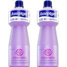 Asseptgel Zerobac 1L Lavanda Start 02 unidades