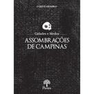 Assombrações De Campinas - O Que Te Assombra Cidades E Medos - PONTES