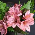 Astromélia de Rosas Envelhecidas Elegância Clássica e Atemporal Astromélia de Rosas Envelhecidas Elegância Clássica e Atemporal