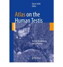 Atlas on the human testis: normal morphology and pathology - SPRINGER (IMPORT)