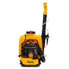 Atomizador Costal Motorizado Guarany Motor G59 59,2 Cc 18L