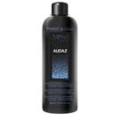 Audaz 500ml - restaurador e protetor de plasticos internos Audaz 500ml - restaurador e protetor de plasticos internos